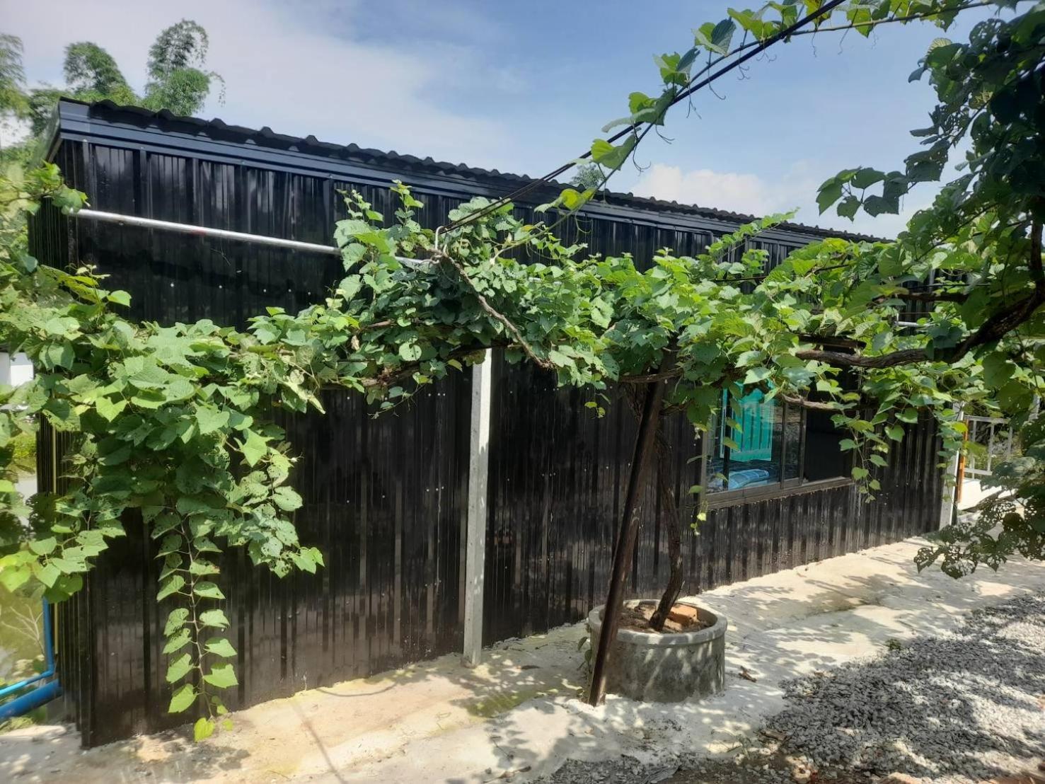 บ้านสวนปวิชญา เกษตรอินทรี Fang Bagian luar foto